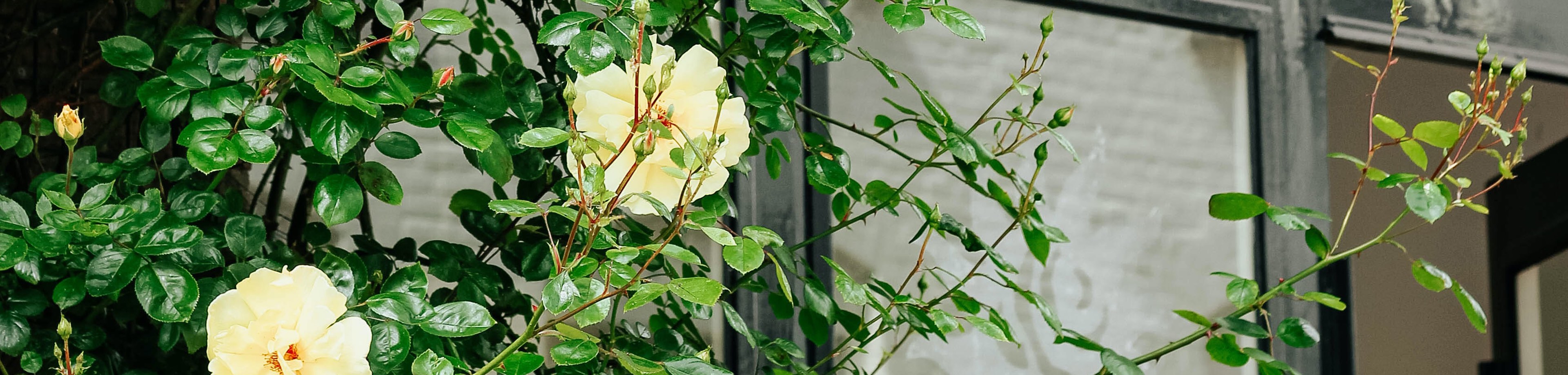 Openstaand raam. Woninginbraak voorkomen/beperken. Bekijk het eens door de ogen van een inbreker.