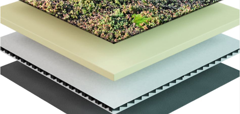 De verschillende lagen van een groen dak gevisualiseerd