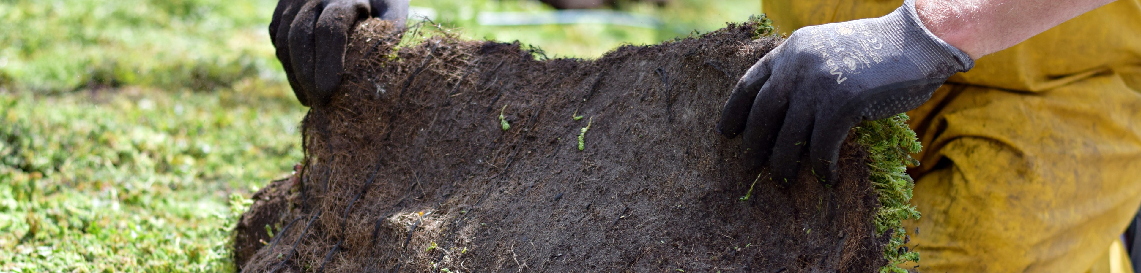Een man die bezig is met de aanleg van een groen dak 