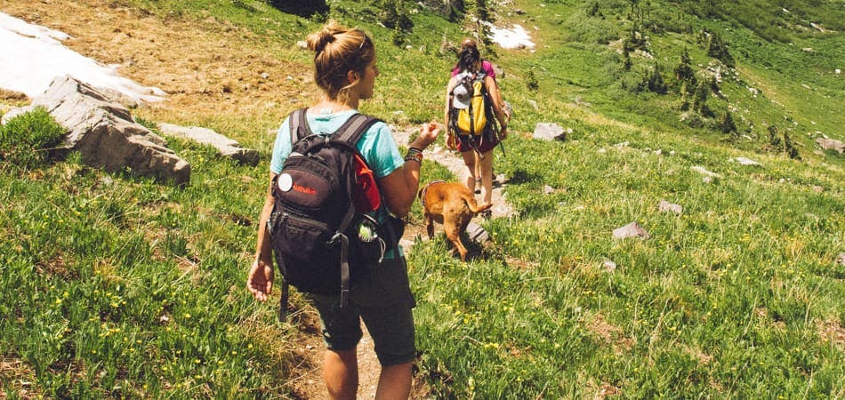 Twee studenten lopen door de bergen met backpack.
