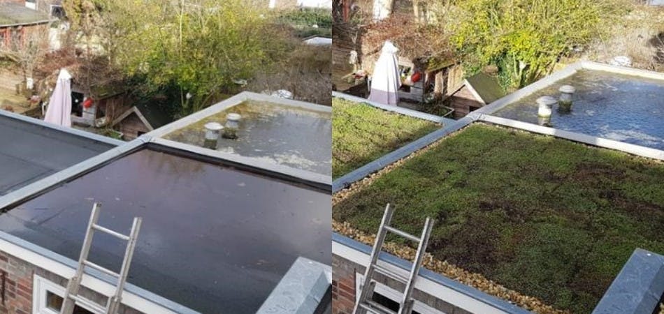 Voor en na foto van groen dak
