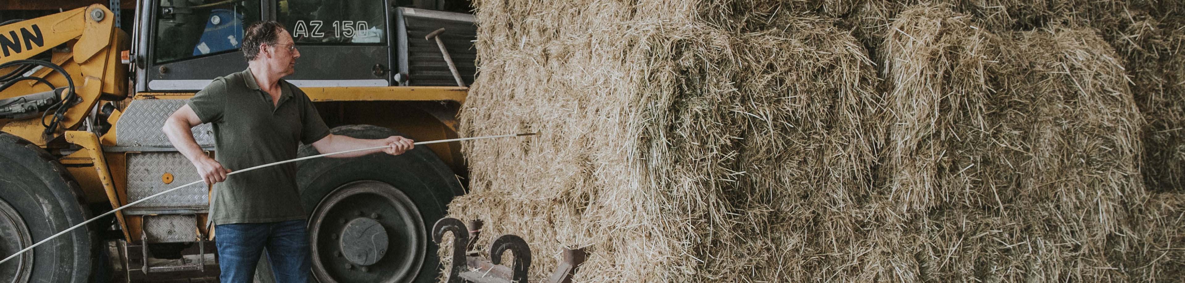 Hooibroeicontroleur steekt meetinstrument in hooibaal ter voorkoming van hooibroei | Interpolis hooibroeimeting