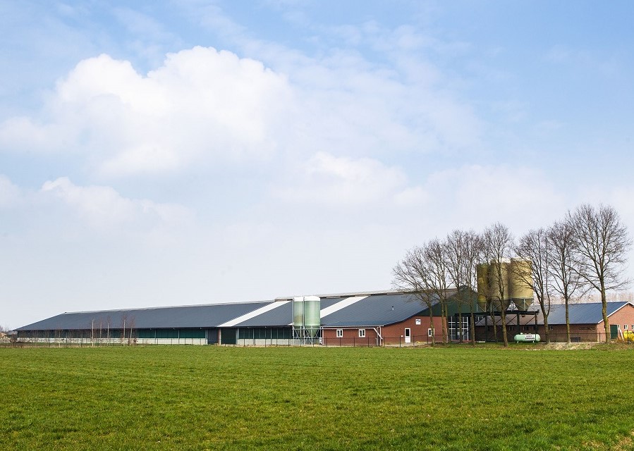 Een agrarische stal | Dit is de top 5 oorzaken van stalbrand. Interpolis